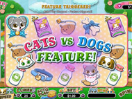 Purrfect Pets screenshot 3